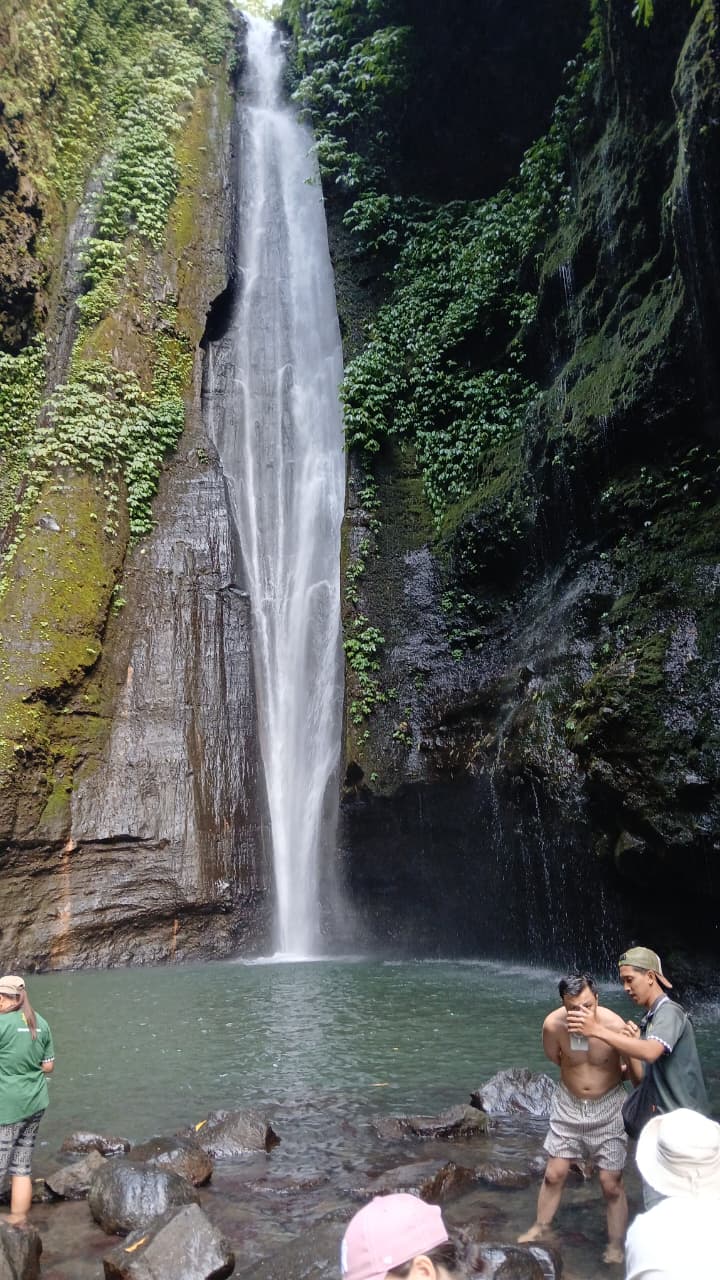 Guests bathing at Sekumpul waterfall pool